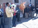 Presentacion Revuelta