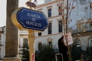 Acción sobre los árboles secos de la Alameda
