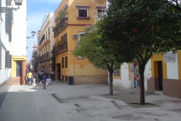 sanluis